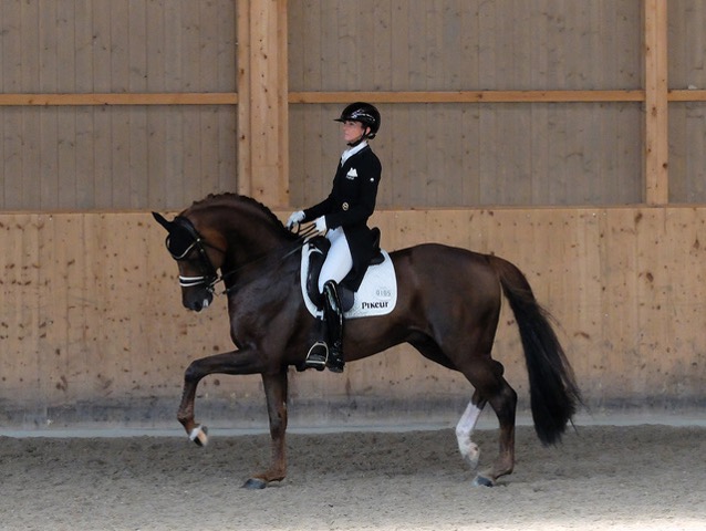 Dressage Masters