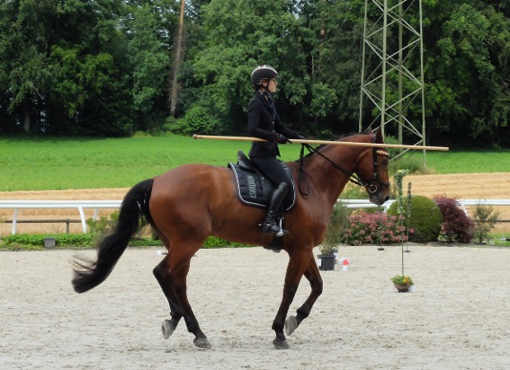 Working Equitation